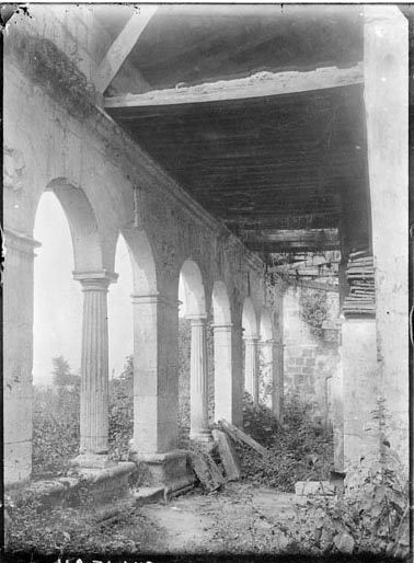 Paravis A.D 47, 2116W53